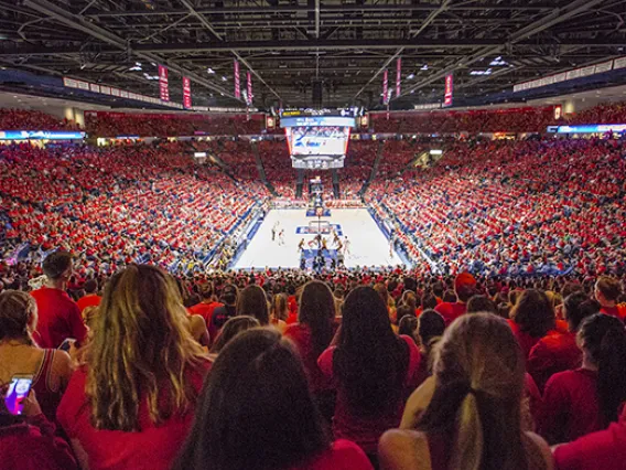 basketball fans at a game in McKale