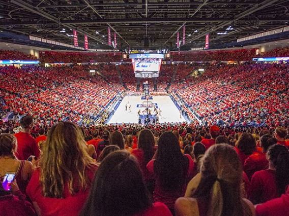 basketball fans at a game in McKale
