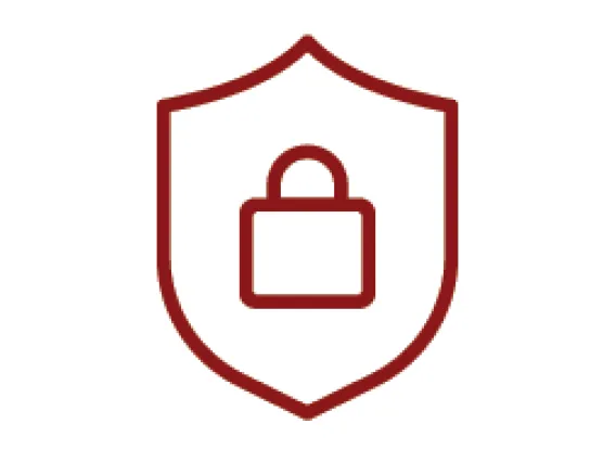 Enhance Security Icon