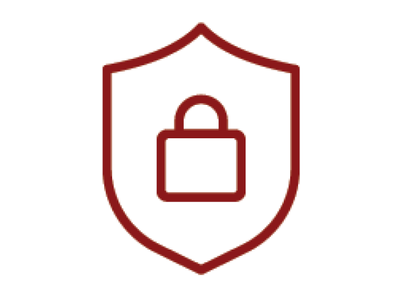 Enhance Security Icon