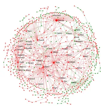 Network Model